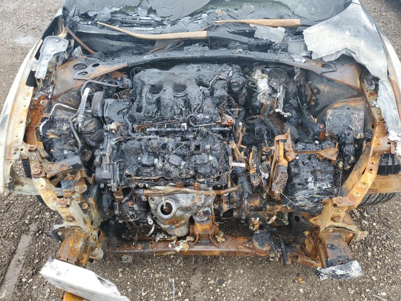 2017 Nissan Maxima 3.5S VIN: 1N4AA6AP9HC408626 Lot: 63747675