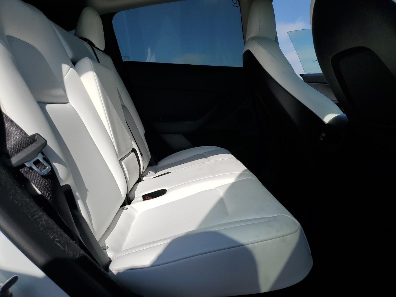2023 Tesla Model Y VIN: 7SAYGDEE6PF928436 Lot: 64761375