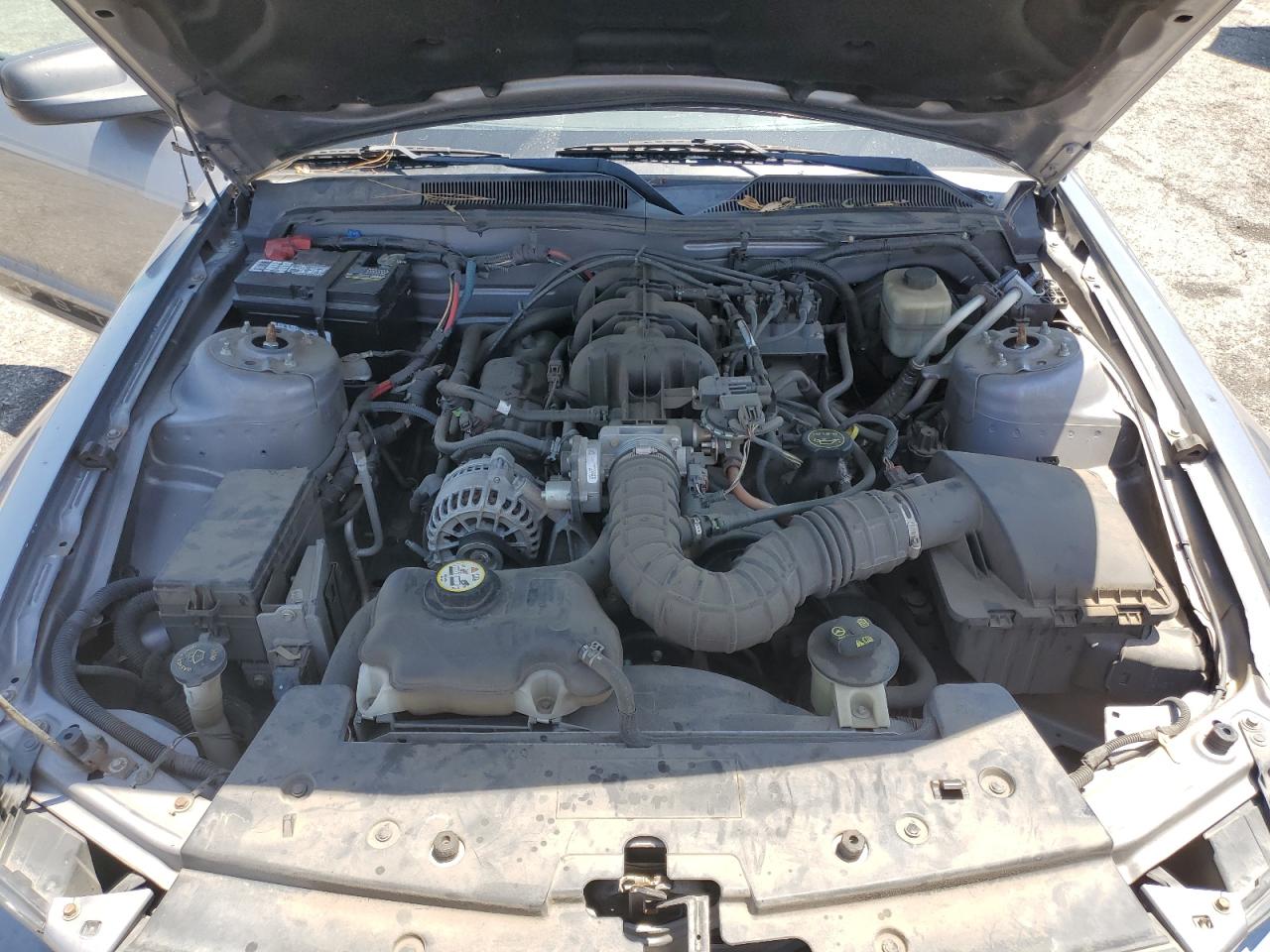 2007 Ford Mustang VIN: 1ZVFT80N175248392 Lot: 63467075