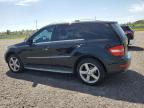 2010 MERCEDES-BENZ ML 350 4MATIC   à vendre chez Copart ON - OTTAWA