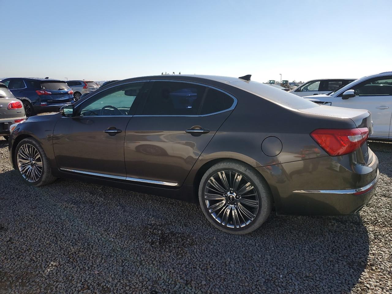 2014 Kia Cadenza Premium VIN: KNALN4D7XE5147981 Lot: 66579135