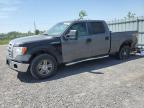 2010 FORD F150 SUPERCREW   for sale at Copart ON - OTTAWA