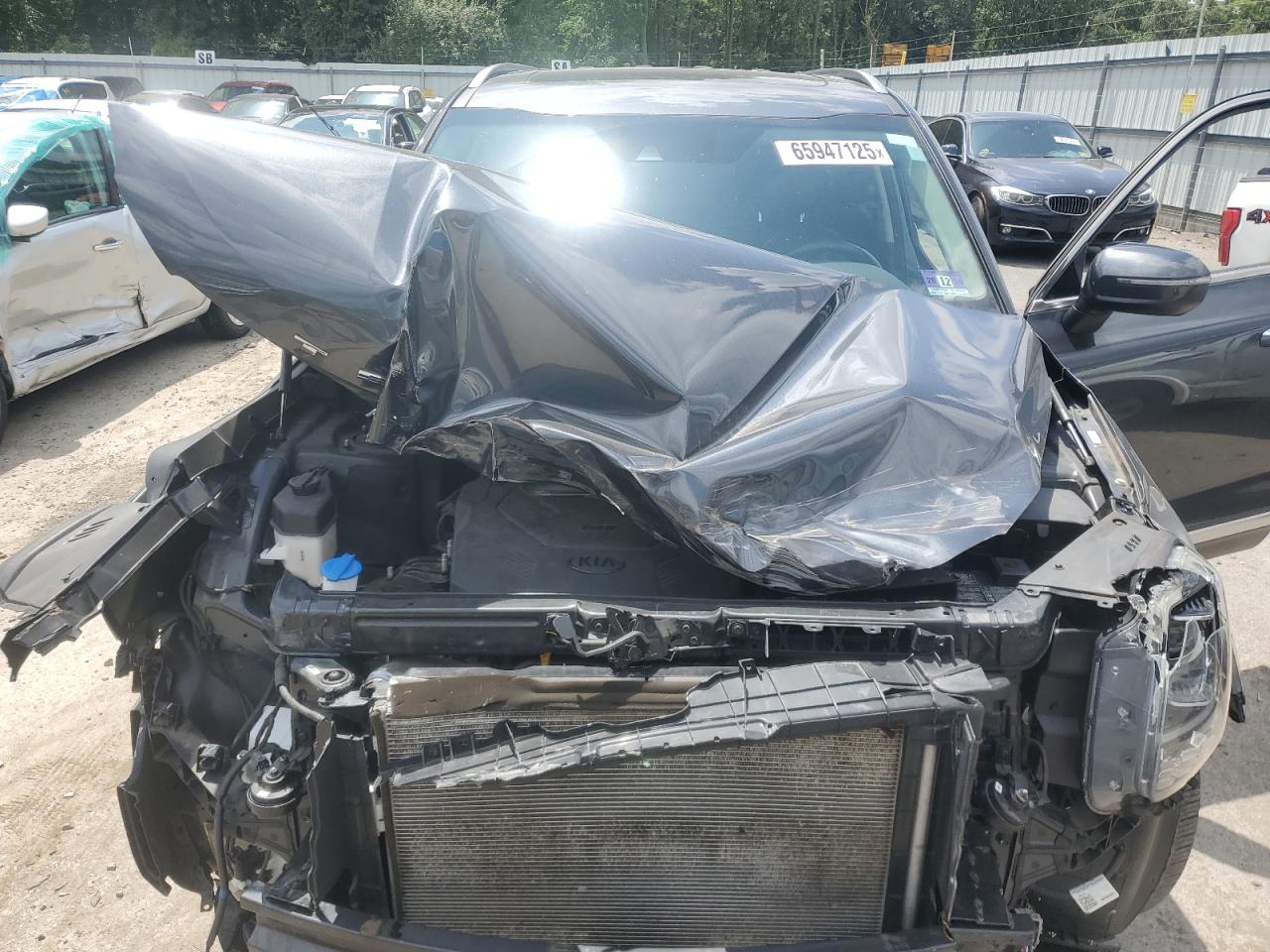 2020 Kia Telluride S VIN: 5XYP6DHC8LG063719 Lot: 65947125