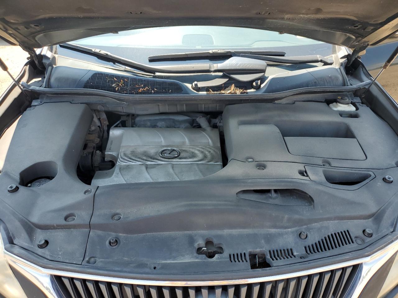 2010 Lexus Rx 350 VIN: 2T2BK1BAXAC025909 Lot: 62785625