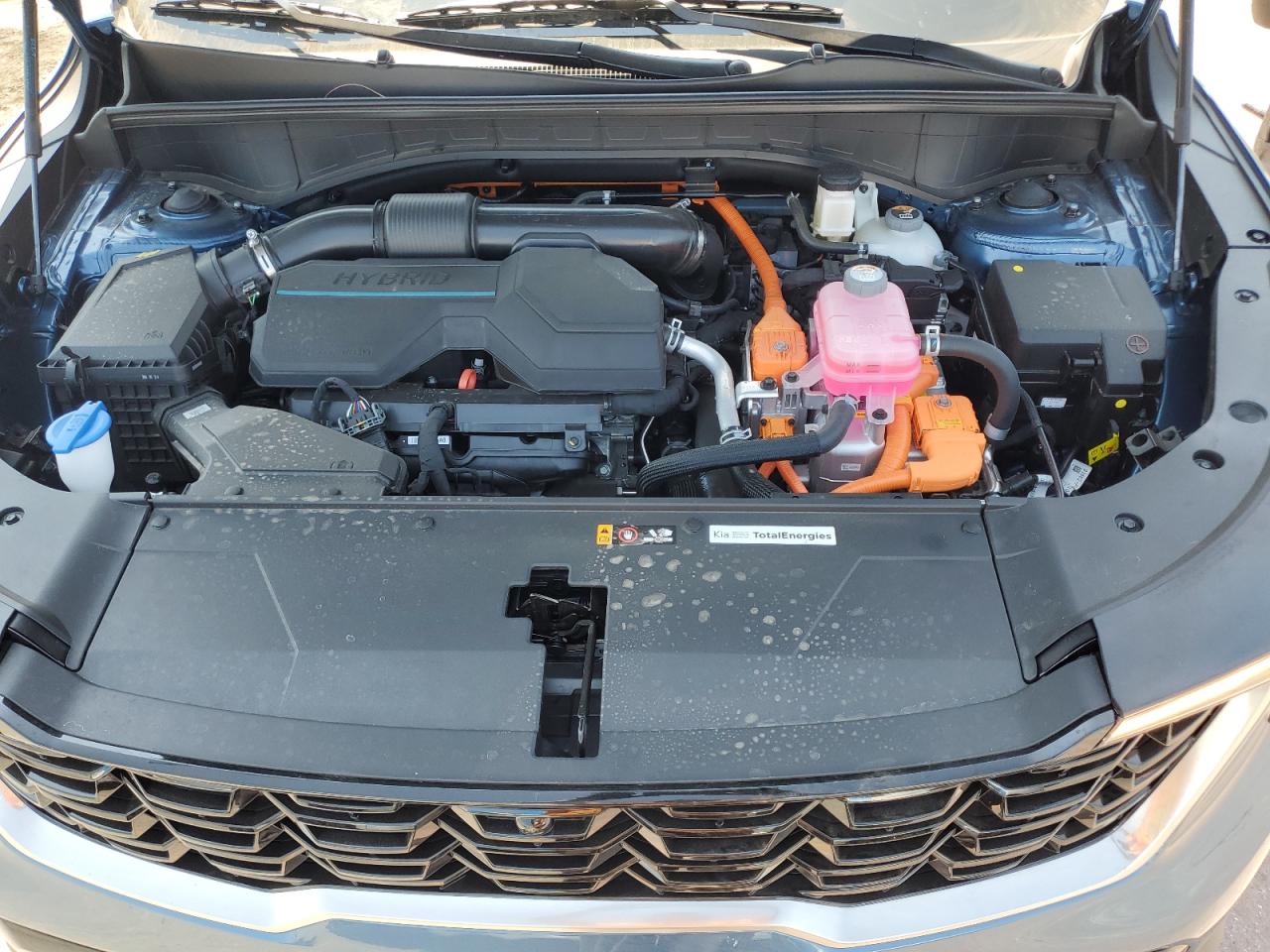 2025 Kia Sorento Sxp VIN: KNDRKDJGXS5351296 Lot: 65113365