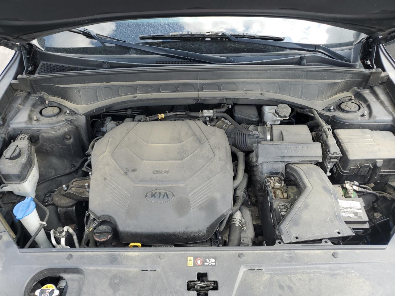 2020 Kia Telluride Ex VIN: 5XYP3DHC4LG009567 Lot: 64748475