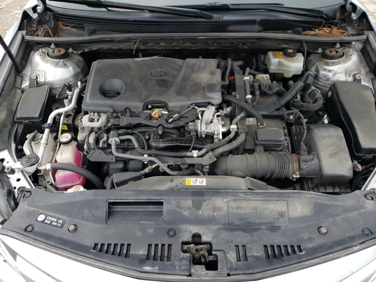 2018 Toyota Camry Le VIN: 4T1B31HK4JU002920 Lot: 65247345