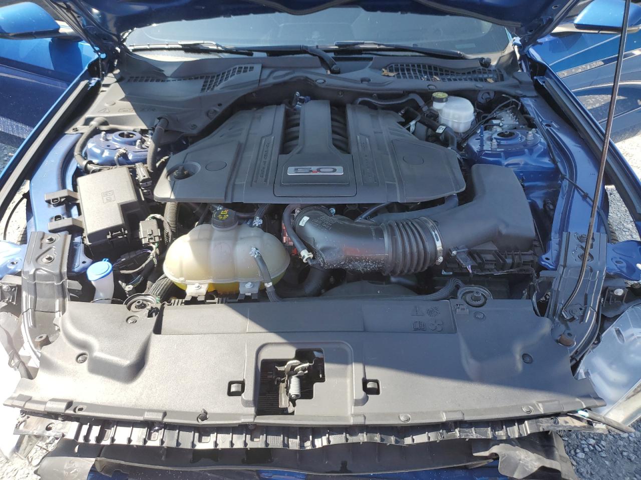 2022 Ford Mustang Gt VIN: 1FA6P8CFXN5143025 Lot: 66652425