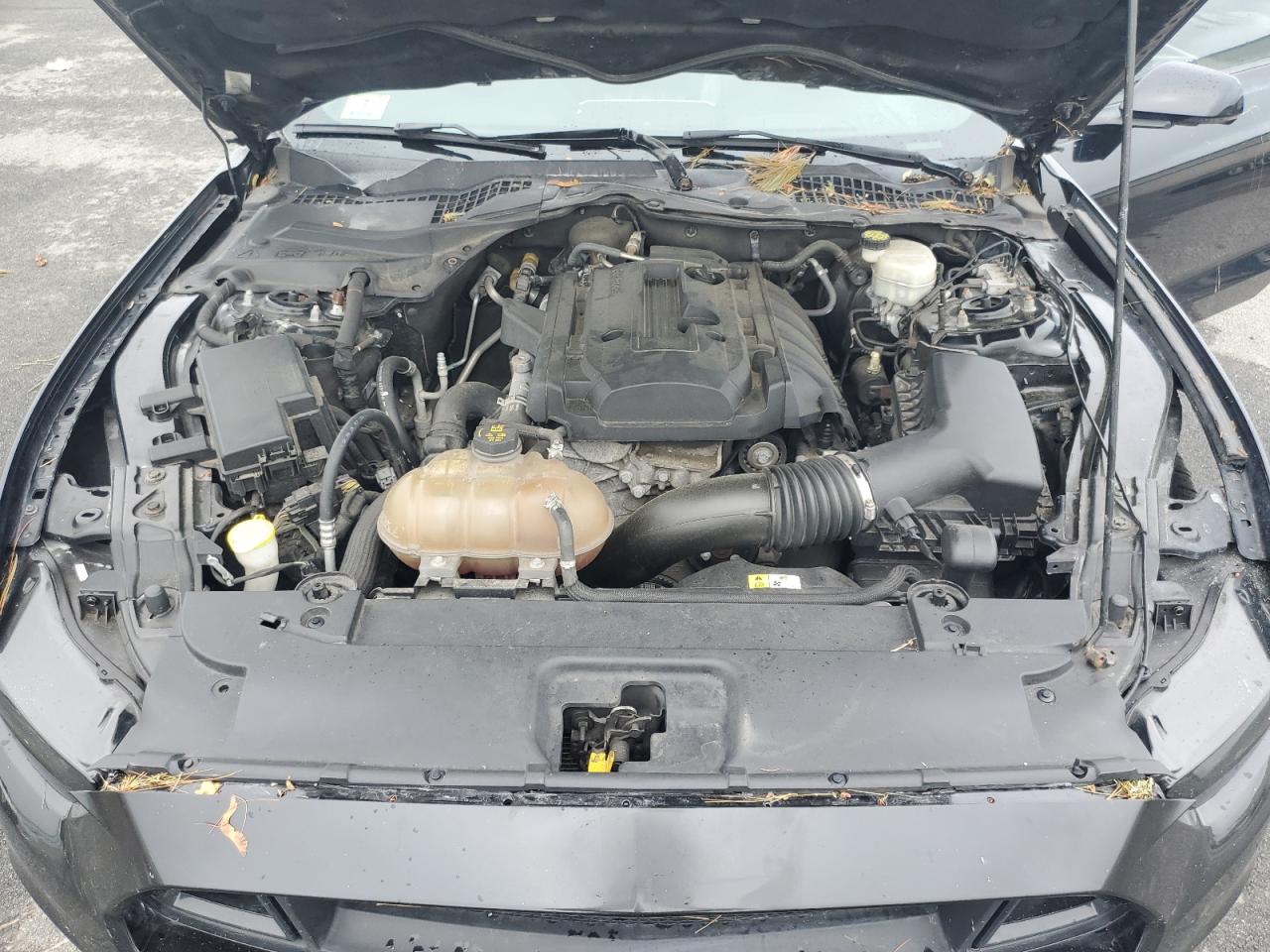 2017 Ford Mustang VIN: 1FA6P8TH0H5278228 Lot: 64067655