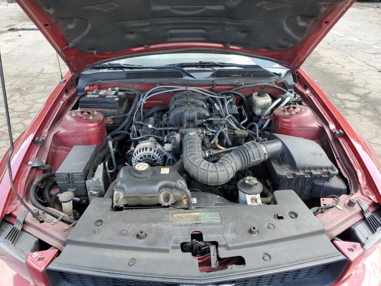 2007 Ford Mustang VIN: 1ZVFT84N875351383 Lot: 64807005
