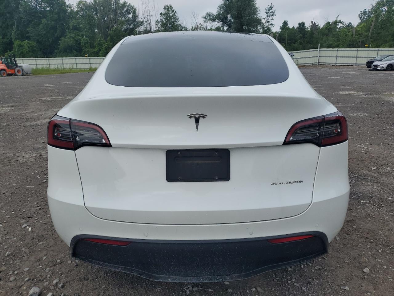 2022 Tesla Model Y VIN: 7SAYGAEE8NF567495 Lot: 62352115
