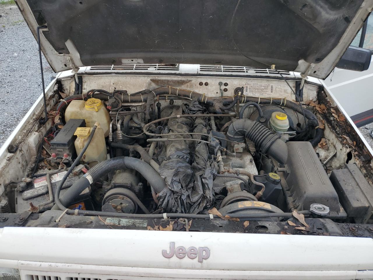 1996 Jeep Cherokee Sport VIN: 1J4FJ68S3TL103684 Lot: 63466265