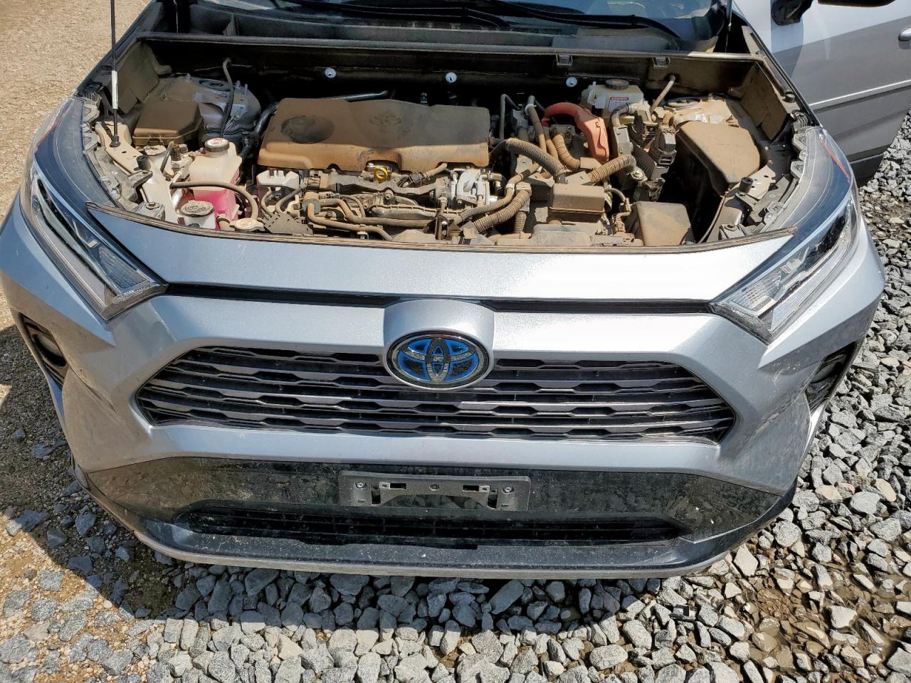 2020 Toyota Rav4 Xse VIN: JTME6RFV2LD500721 Lot: 65324465