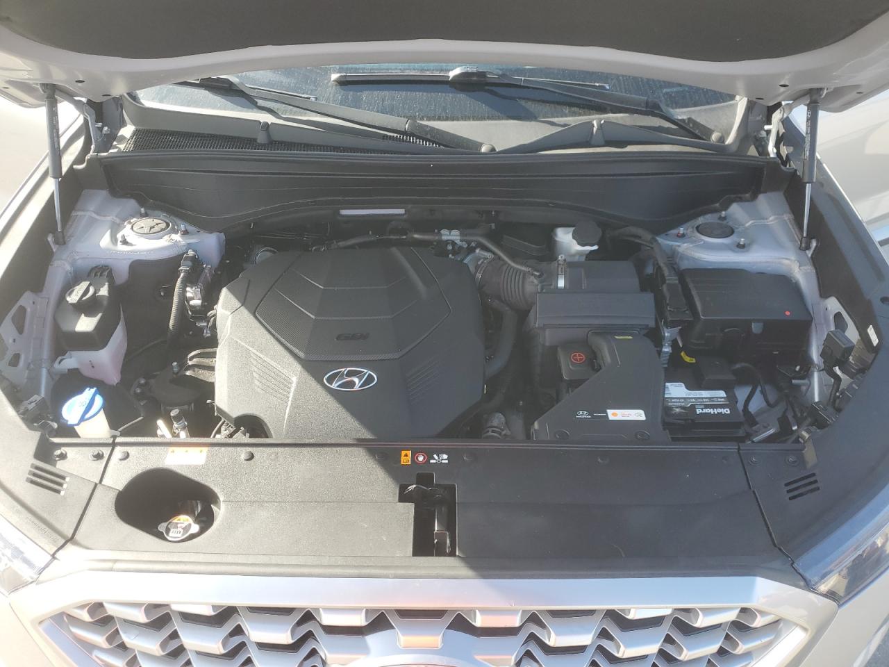 2021 Hyundai Palisade Sel VIN: KM8R4DHE4MU252573 Lot: 63153065