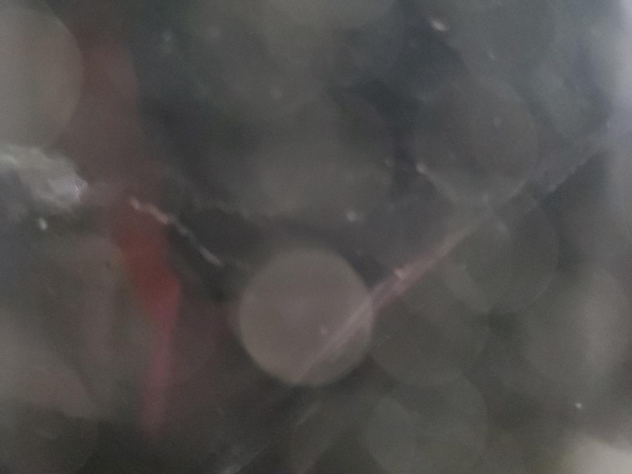 2018 Kia Forte Lx VIN: 3KPFK4A77JE167892 Lot: 65456655