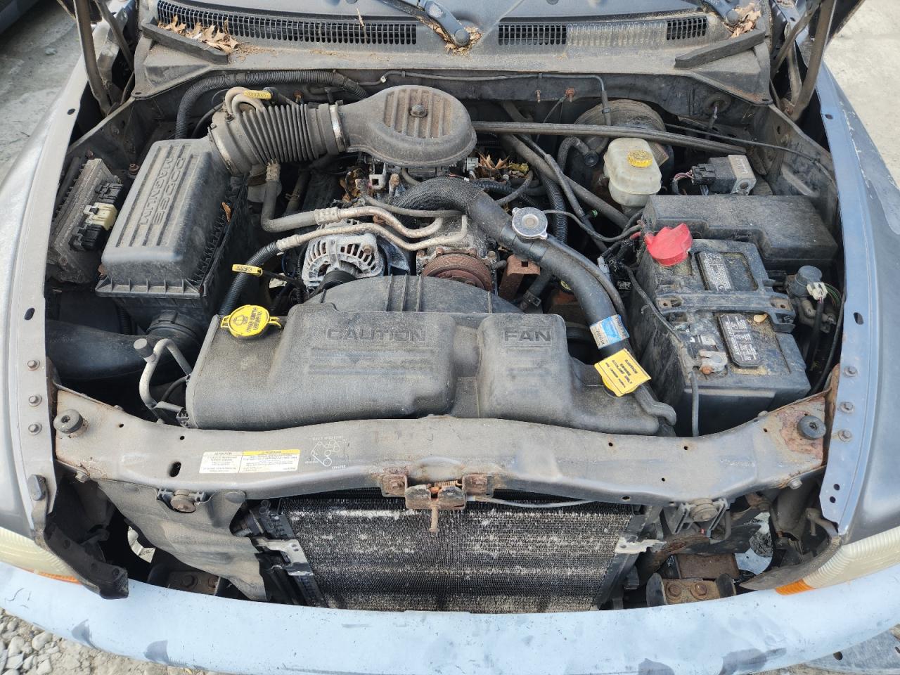 2003 Dodge Dakota Sxt VIN: 1D7HL12X23S100979 Lot: 64883235