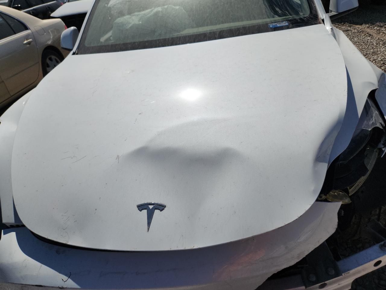 2024 Tesla Model Y VIN: 7SAYGDEF2RF023350 Lot: 62066885
