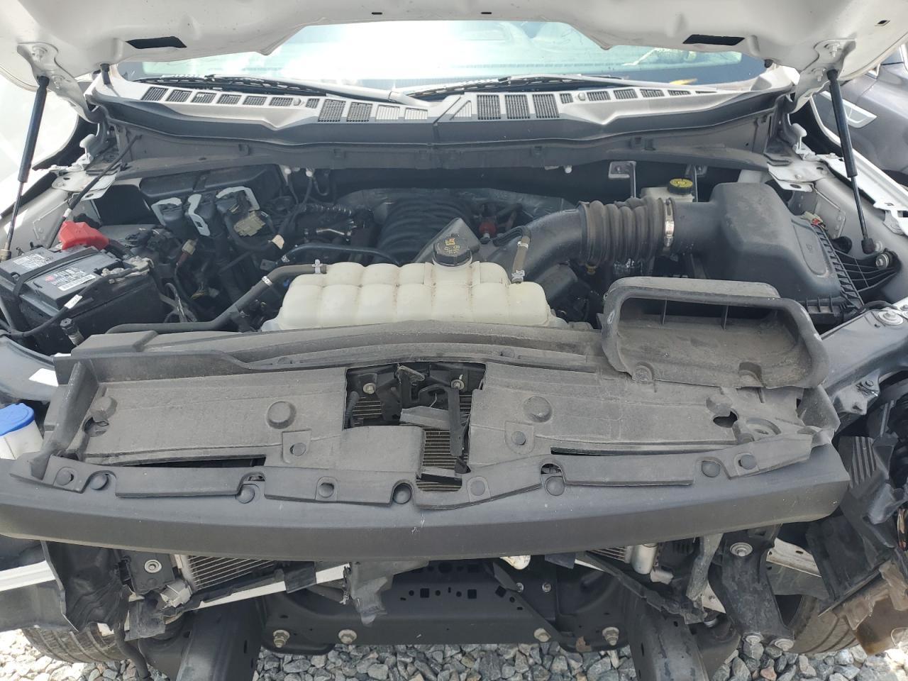 2022 Ford F150 VIN: 1FTMF1C59NKE67703 Lot: 56976855