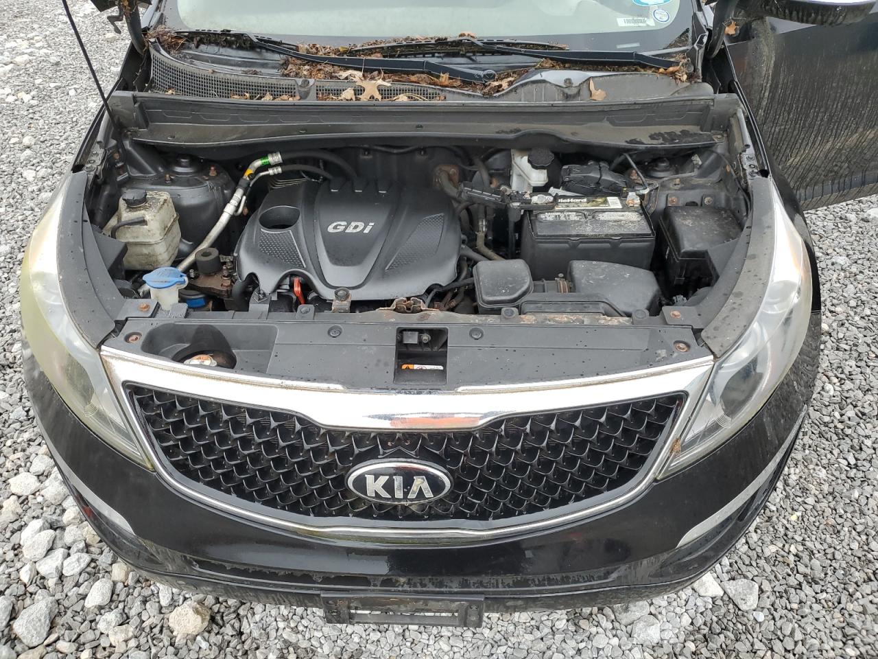 2014 Kia Sportage Base VIN: KNDPB3AC1E7548106 Lot: 64565185