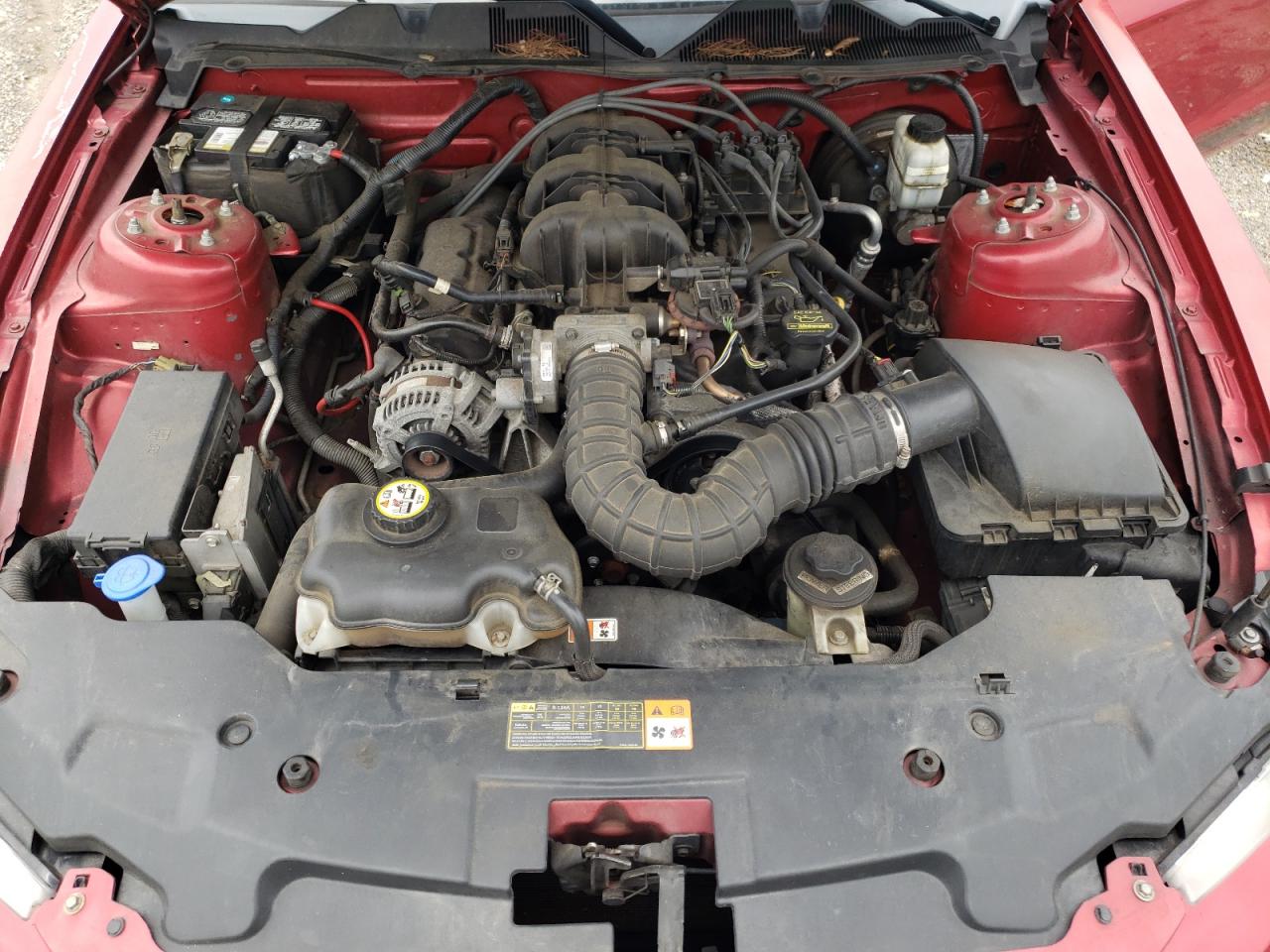 2010 Ford Mustang VIN: 1ZVBP8AN4A5126439 Lot: 64381475