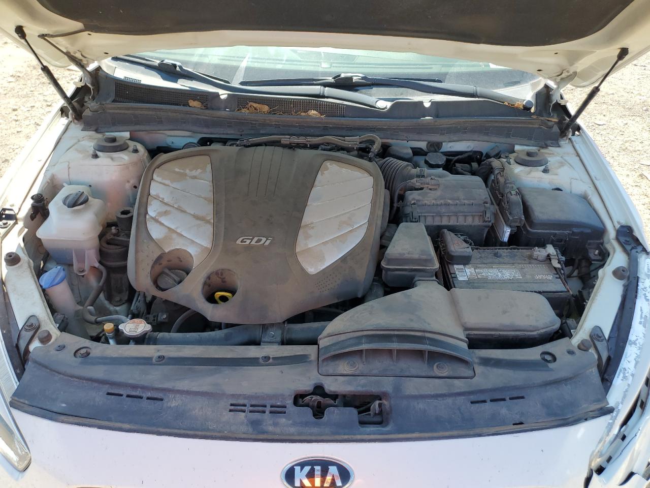 2014 Kia Cadenza Premium VIN: KNALN4D72E5131094 Lot: 63298215