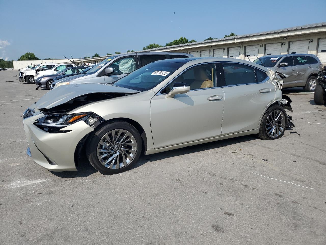 5803様 2019 LEXUS ES 350 | 58ABZ1B16KU028069