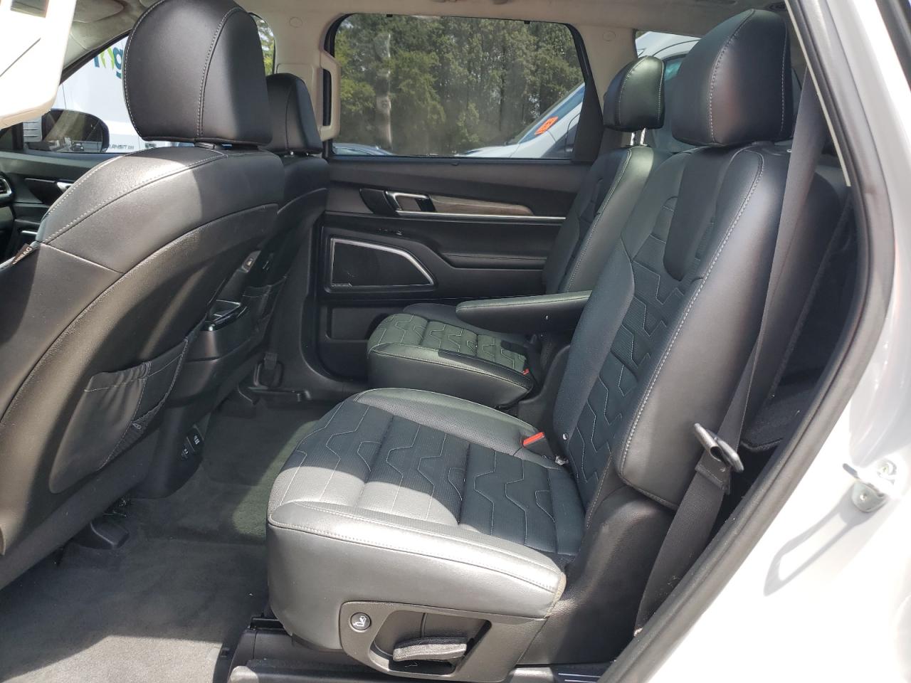 2022 Kia Telluride Sx VIN: 5XYP5DHC9NG294229 Lot: 64389595