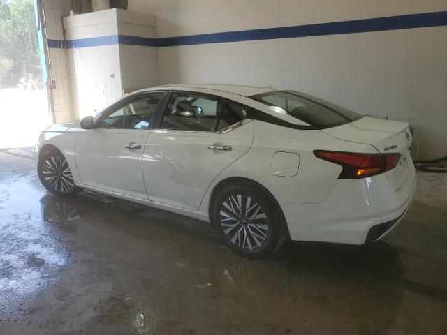  NISSAN ALTIMA 2025 Белы