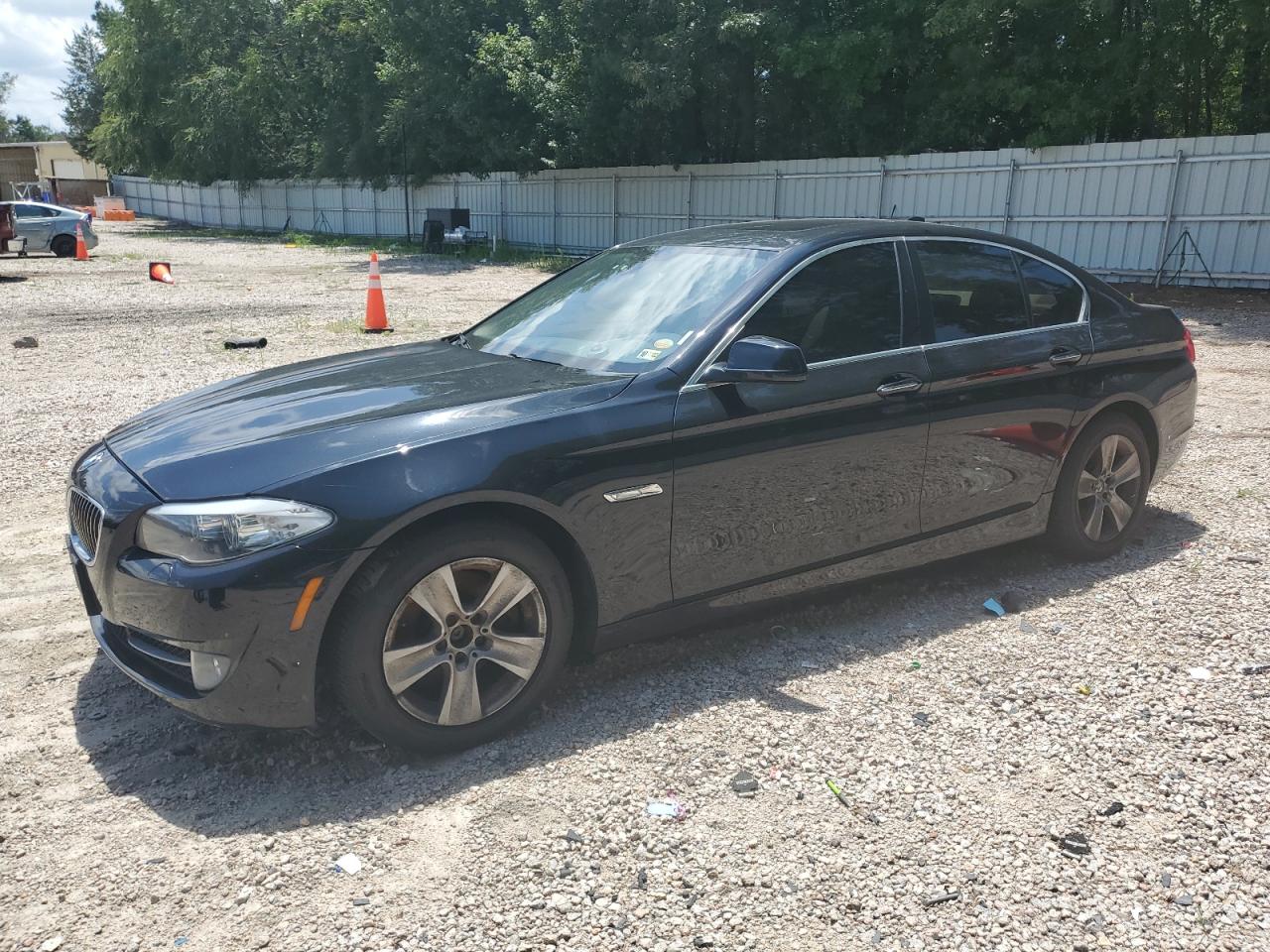 2013 BMW 528 Xi VIN: WBAXH5C55DDW16395 Lot: 65397985