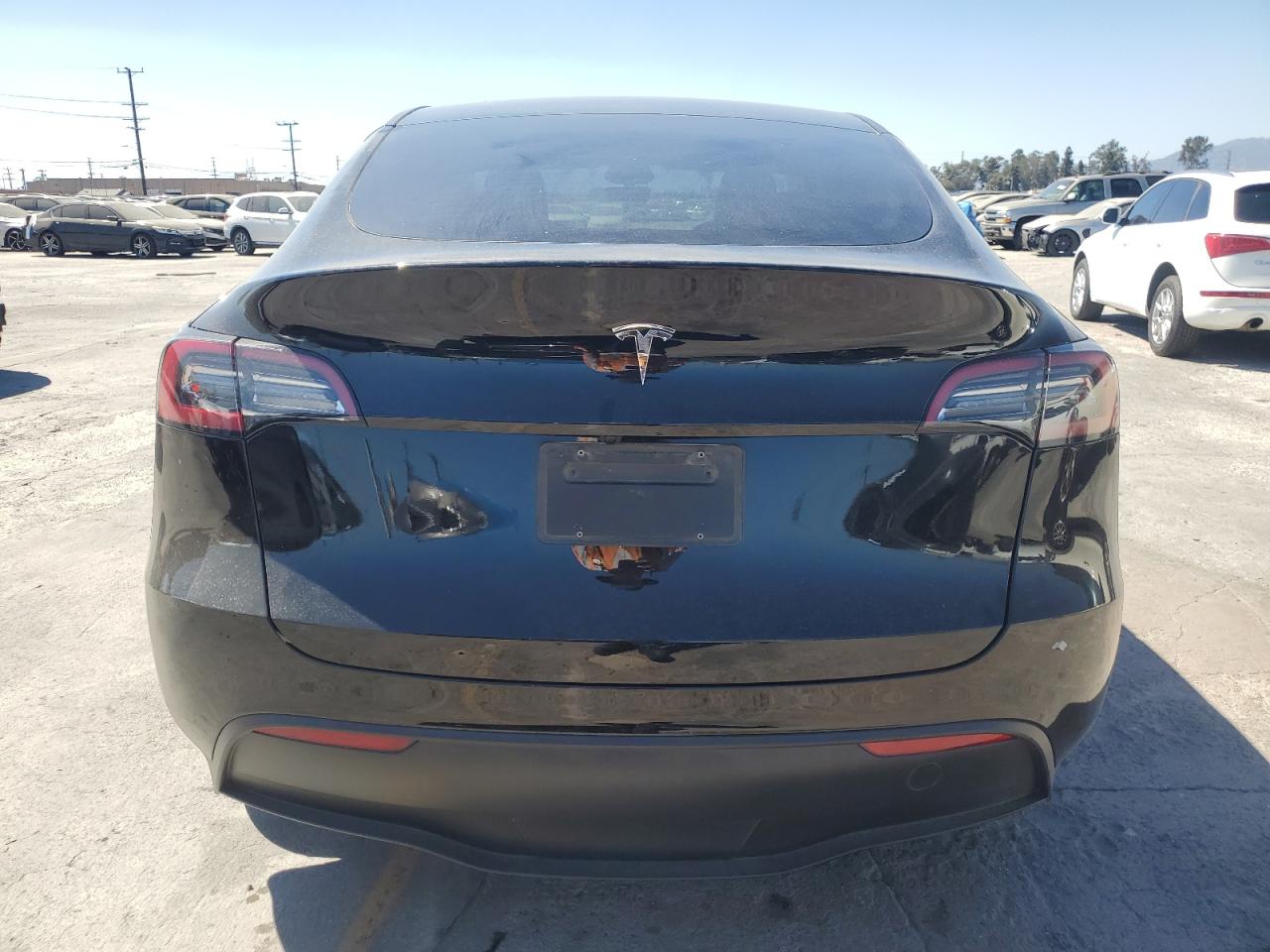 2024 Tesla Model Y VIN: 7SAYGDED6RF101479 Lot: 66221595