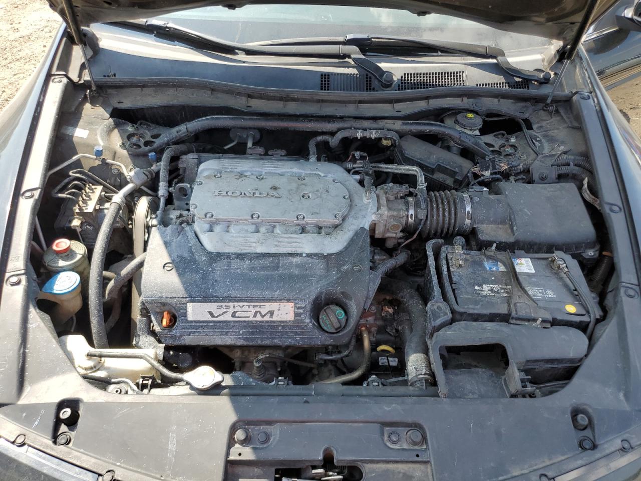 2010 Honda Accord Exl VIN: 1HGCS2B89AA005345 Lot: 66313665