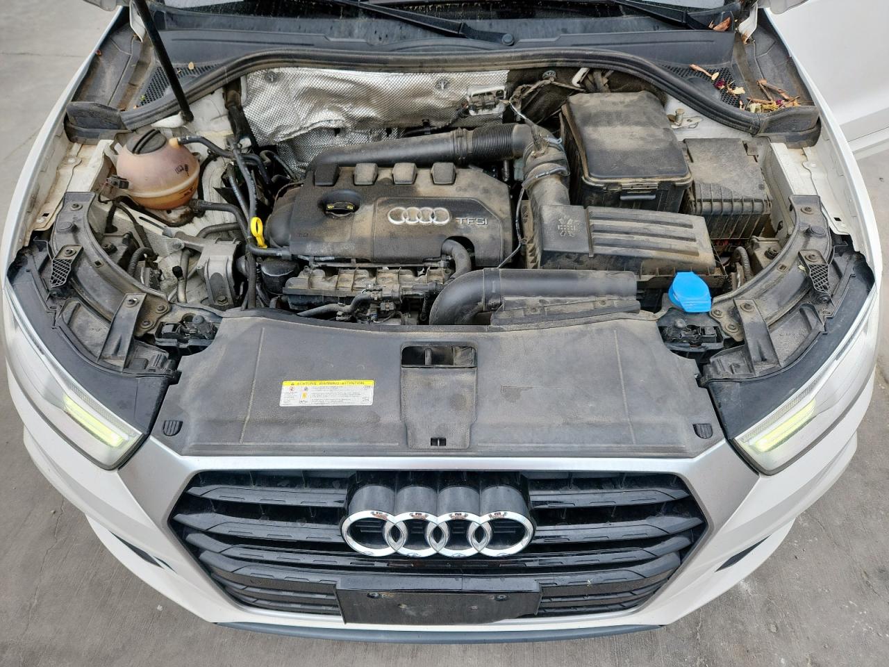 2017 Audi Q3 Premium VIN: WA1ECCFS9HR013659 Lot: 63534575