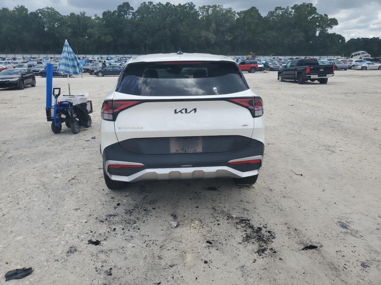 2024 Kia Sportage Lx VIN: KNDPUCDG5R7144580 Lot: 65146985