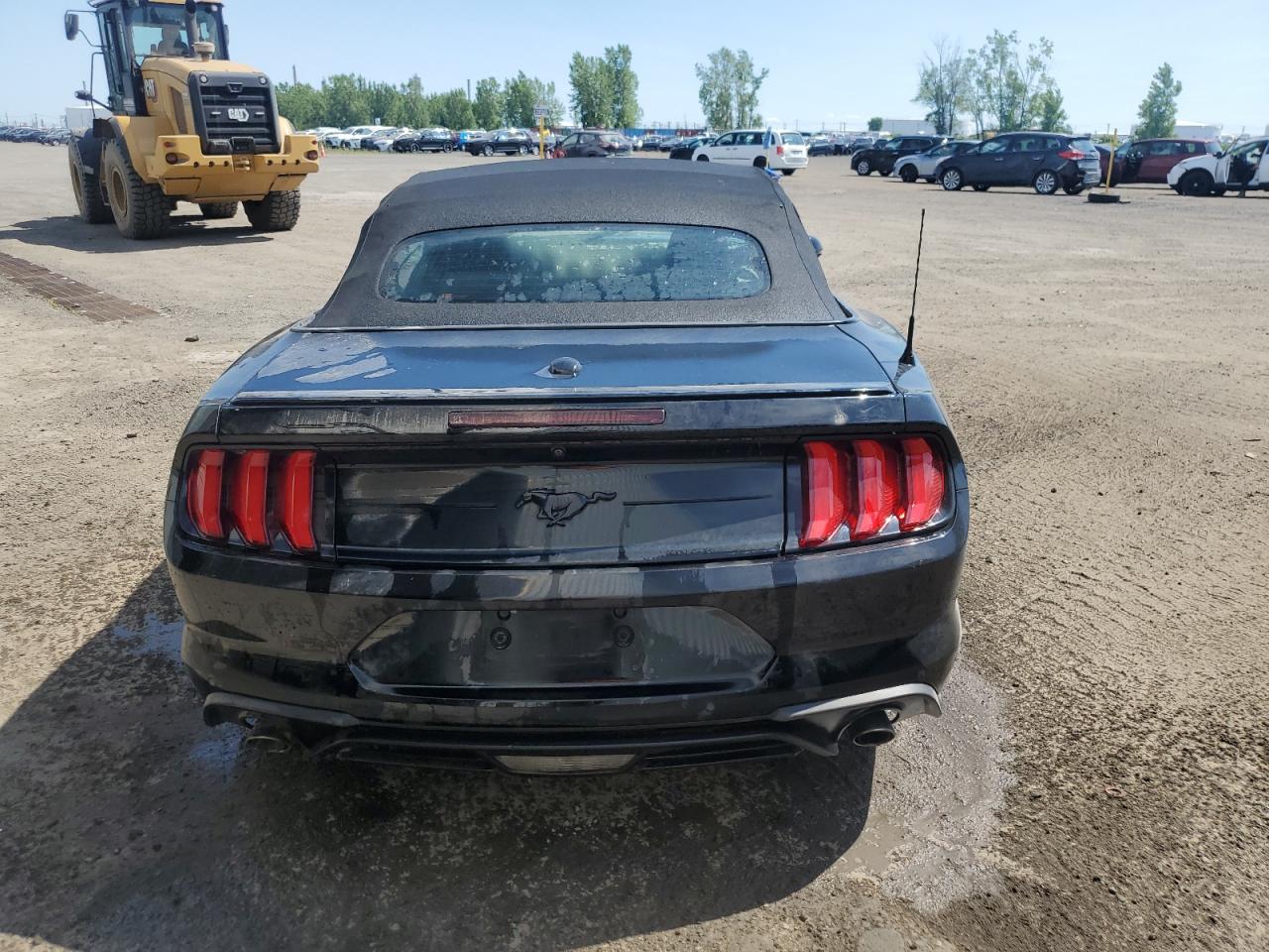 2019 Ford Mustang VIN: 1FATP8UH0K5190157 Lot: 65223075