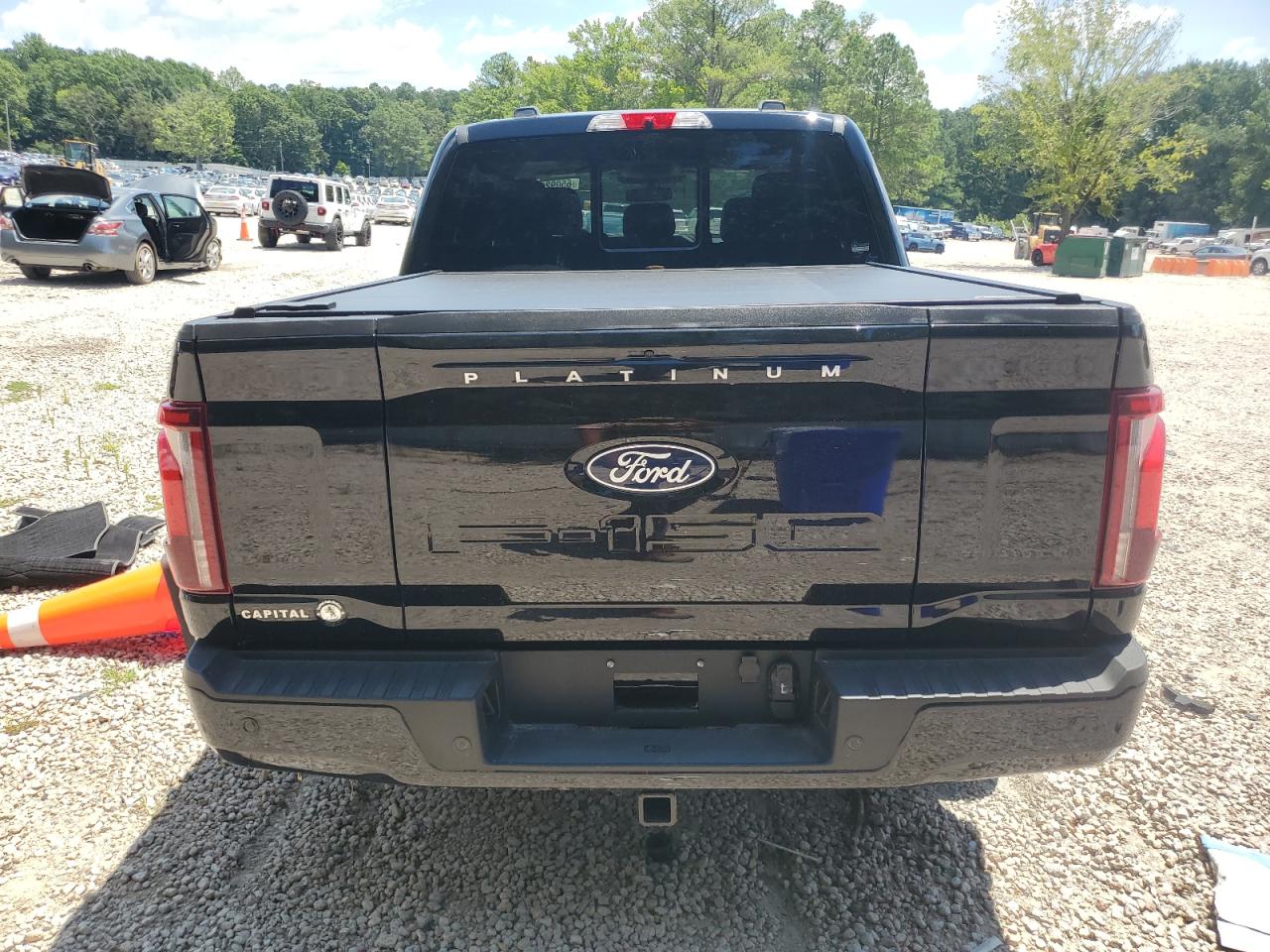 2024 Ford F150 Platinum VIN: 1FTFW7LD0RFB20276 Lot: 65092925