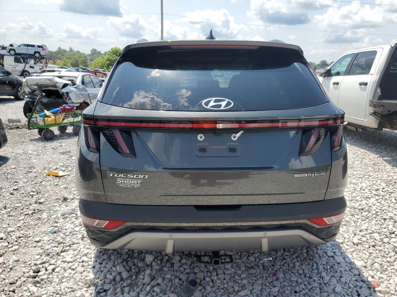 2022 Hyundai Tucson Limited VIN: KM8JECA12NU083036 Lot: 66139535