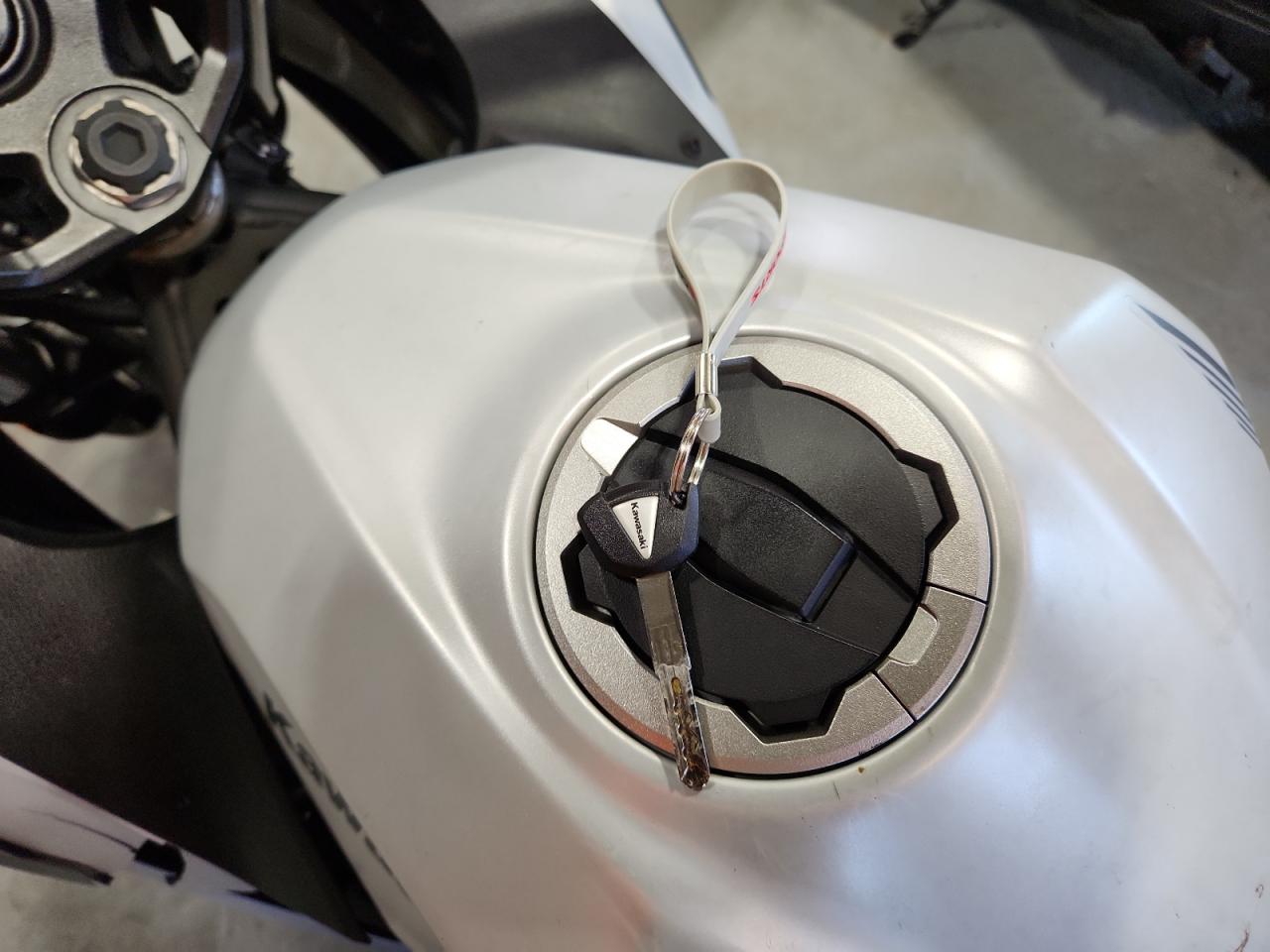 2024 Kawasaki Ex500 VIN: ML5EXGG17RDA31354 Lot: 63742645