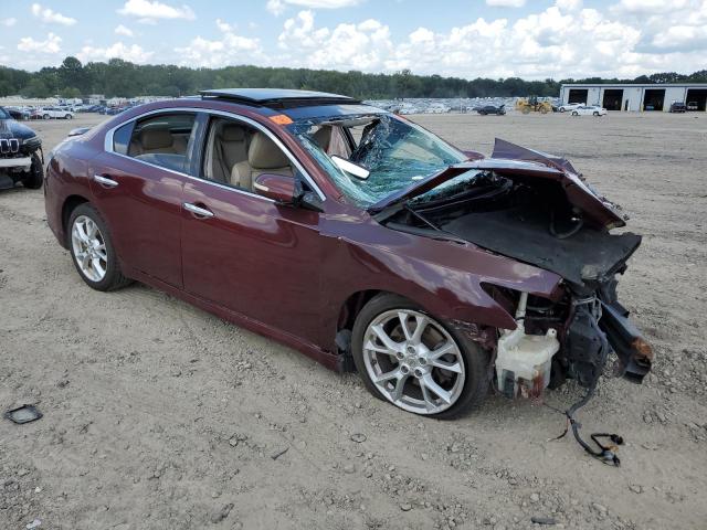  NISSAN MAXIMA 2012 Burgundy