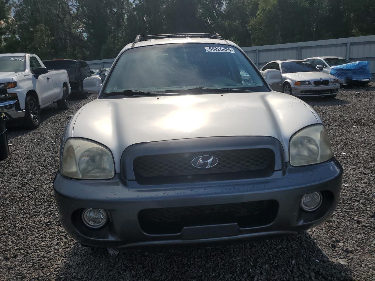 2004 Hyundai Santa Fe Gls VIN: KM8SC13D84U669311 Lot: 65026655