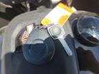2024 HARLEY-DAVIDSON FXLRST    for sale at Copart AZ - PHOENIX NORTH