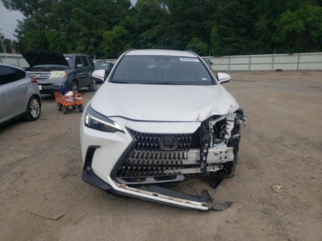  LEXUS NX 250 2023 Белы