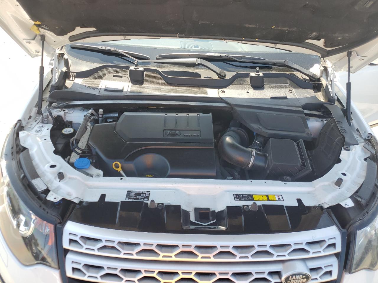 2019 Land Rover Discovery Sport Hse VIN: SALCR2FX8KH788235 Lot: 64455455
