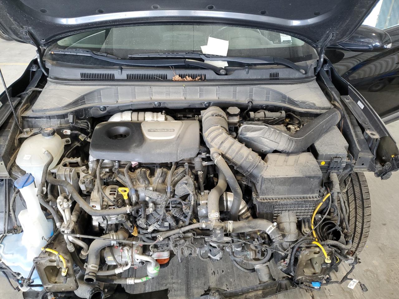 2020 Hyundai Kona Ultimate VIN: KM8K5CA55LU502470 Lot: 65069695