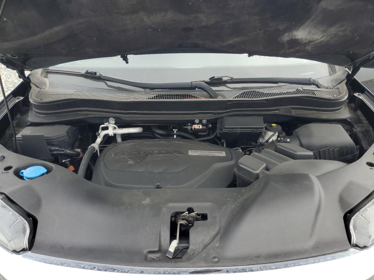 2019 Honda Pilot Exl VIN: 5FNYF5H56KB031501 Lot: 65036285