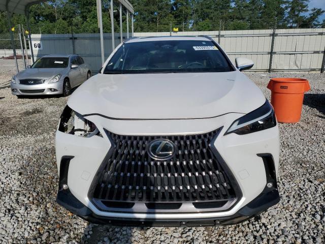  LEXUS NX 350 2022 Biały