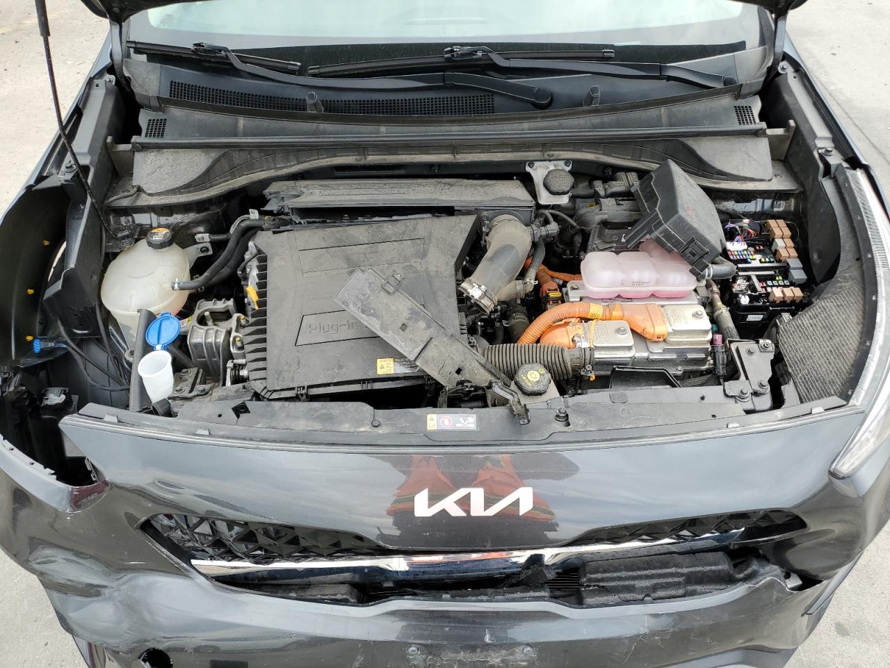 2022 Kia Niro Ex Premium VIN: KNDCC3LDXN5537554 Lot: 65092495