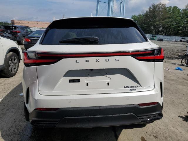  LEXUS NX 350H BA 2024 Белы