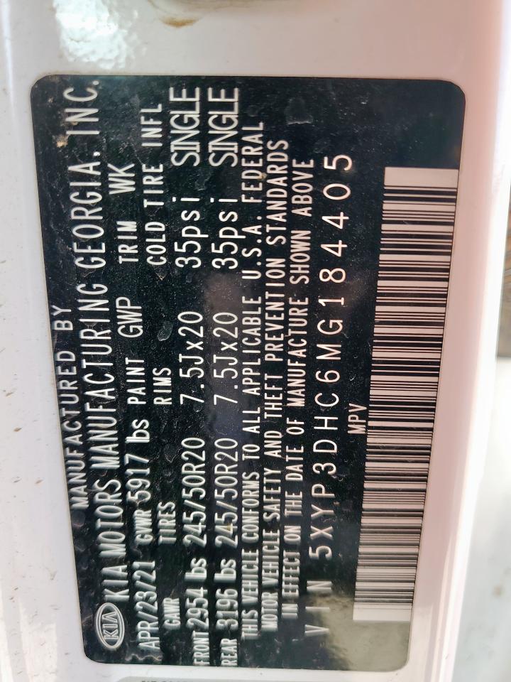 2021 Kia Telluride Ex VIN: 5XYP3DHC6MG184405 Lot: 63848735