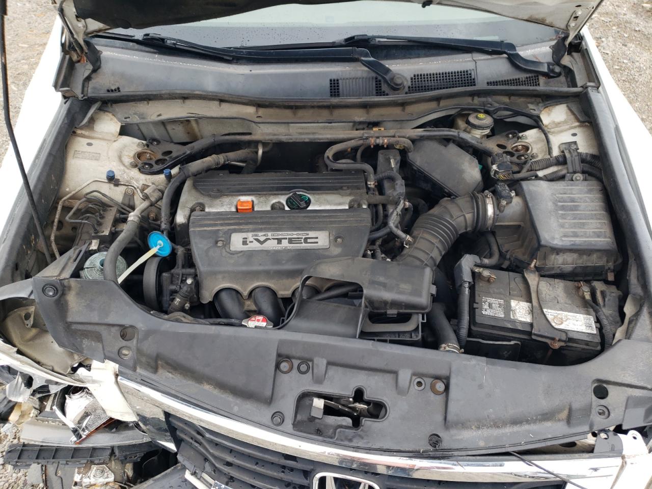 2009 Honda Accord Exl VIN: 1HGCP26889A003562 Lot: 64762195