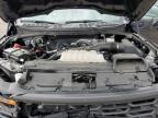 2024 FORD F150 XL   for sale at Copart SC - COLUMBIA